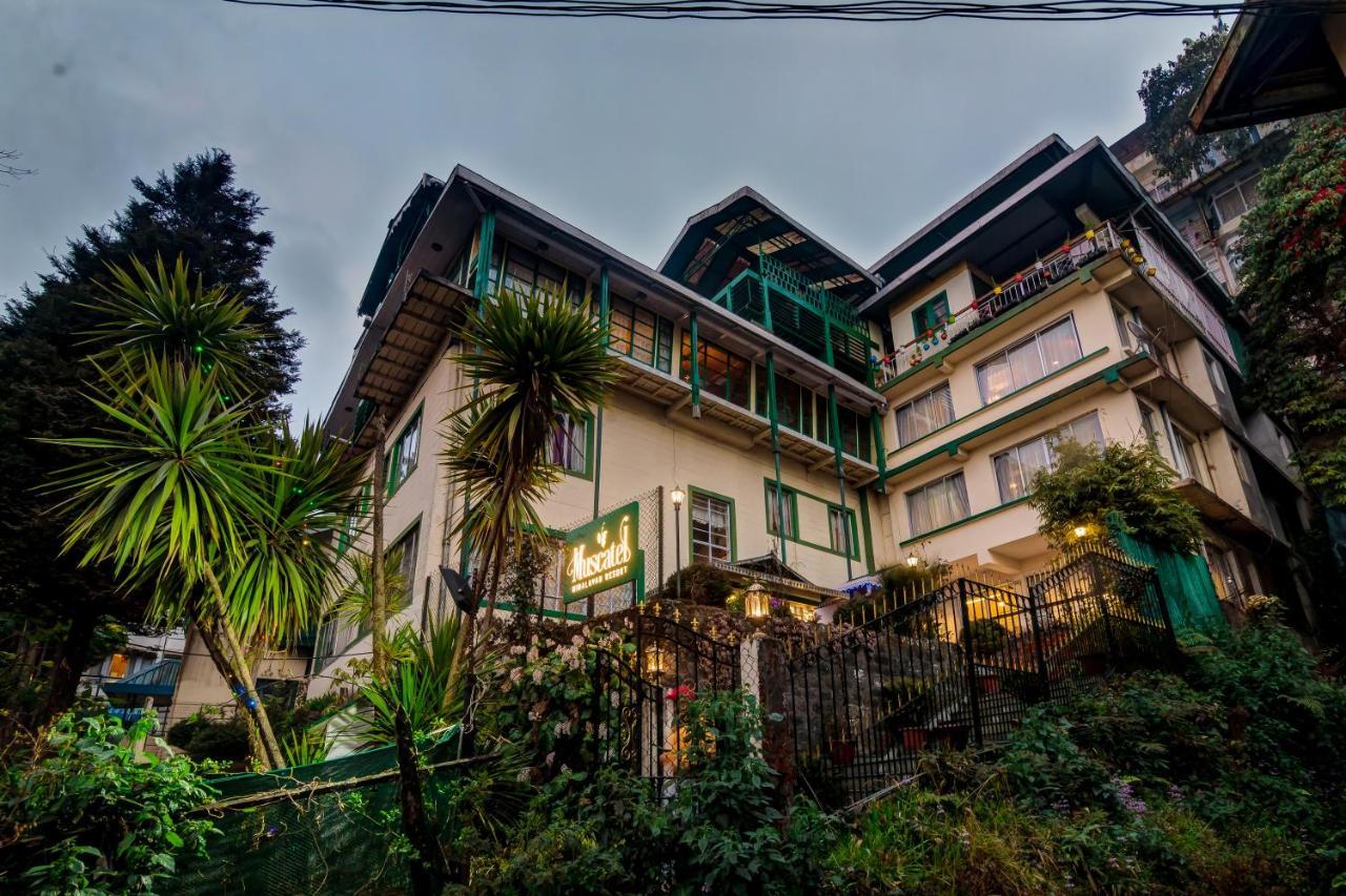 Muscatel Himalayan Resort - 400 Mts From Mall Road ダージリン エクステリア 写真