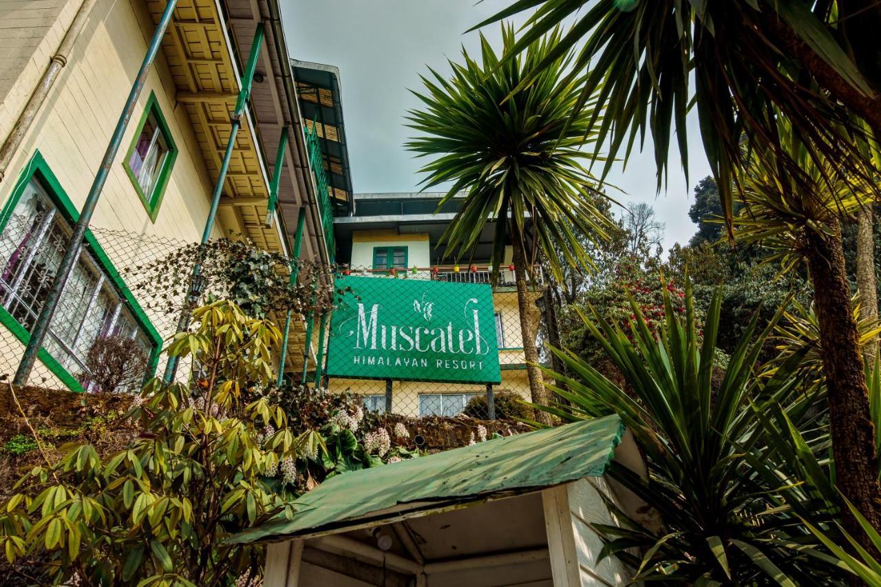 Muscatel Himalayan Resort - 400 Mts From Mall Road ダージリン エクステリア 写真