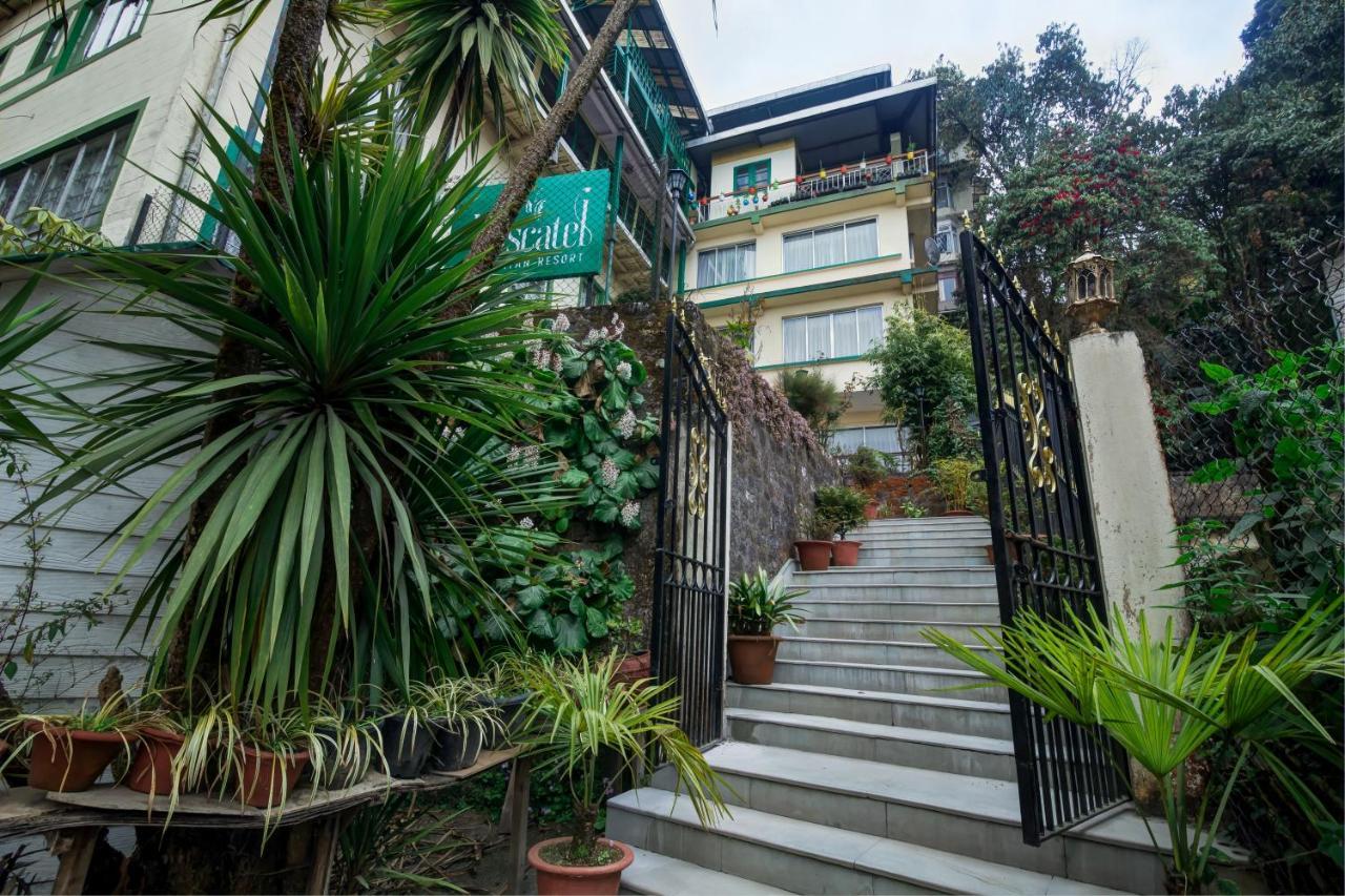 Muscatel Himalayan Resort - 400 Mts From Mall Road ダージリン エクステリア 写真