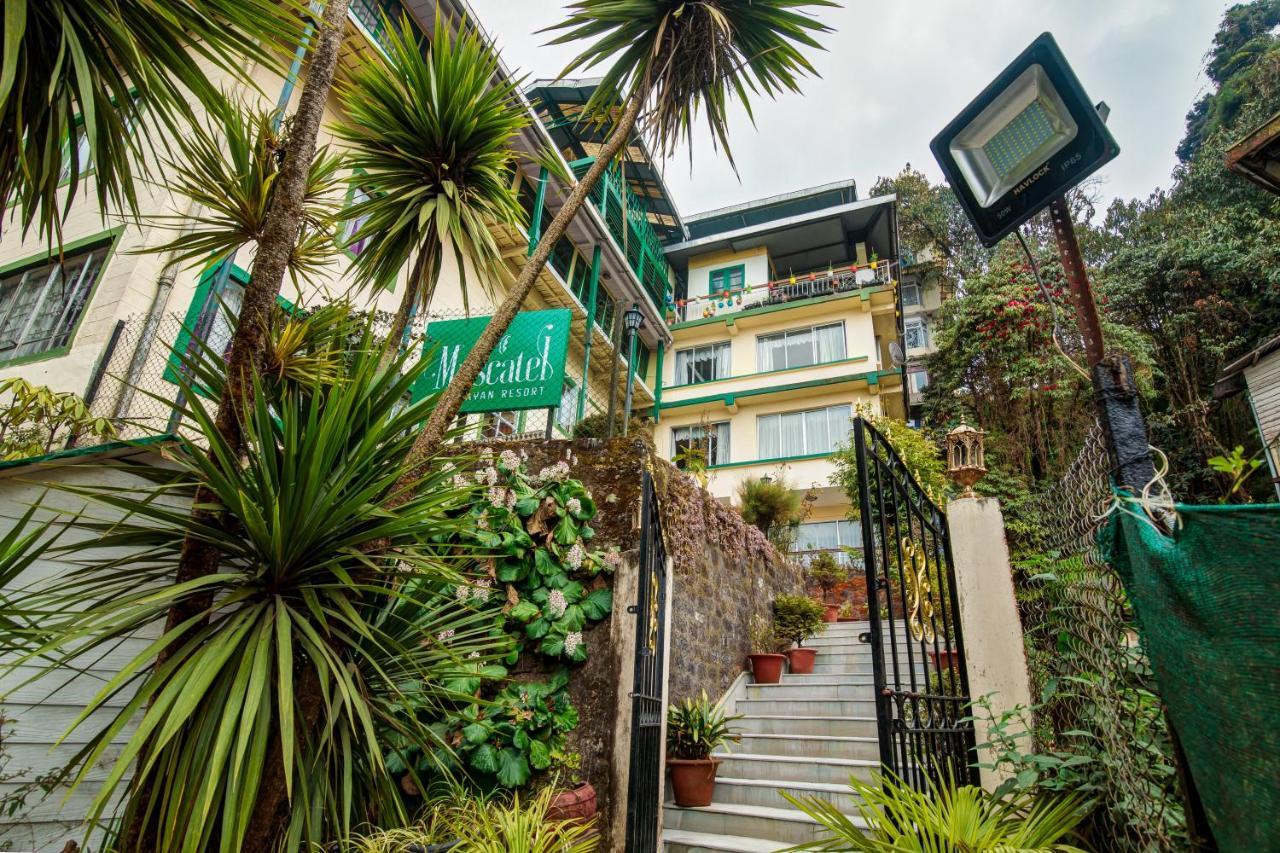 Muscatel Himalayan Resort - 400 Mts From Mall Road ダージリン エクステリア 写真